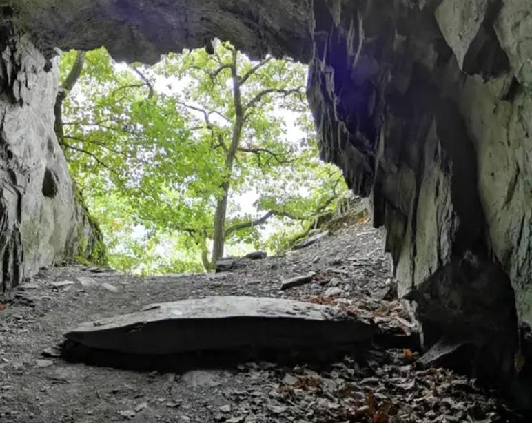 Ferienwohnung Am Reitersgaesschen Blankenrath المظهر الخارجي الصورة